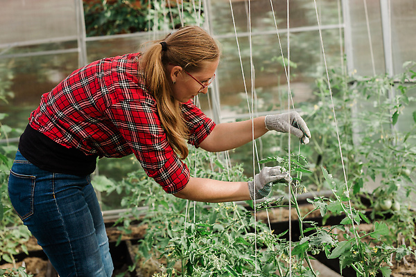 포토 JPG 해외이미지 식물 라이프스타일 여자 문화 농업 토마토 채소 자연 성공 건강 한명 미소 취미 초록색 여름 친구 농작물 농장 정원 봄 수확 성장 신선 잡기 업무 선택 농부 유기농 원예 밭일 온실 채식주의자 해외202310 해외포토 직업 1 웰빙 계절 산업 컬러 컨셉 관계 모션 표정 사람 생활 작업 생태계 채식 파일형식