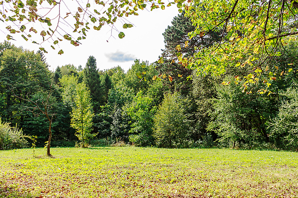 포토 JPG 해외이미지 나무 계절 공원 컬러 여행 백그라운드 밭 골프 자연 하늘 사람없음 야외 초록색 파란색 뷰티 환경 봄 내추럴 스타일 해외202310 해외포토 식물 공공시설 농업 구기 생태계 파일형식