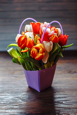 포토 JPG 해외이미지 식물 여자 꽃잎 꽃 분홍색 컬러 꽃다발 백그라운드 잎 꽃무늬 자연 벽지 휴가 부활절 선물 사랑 사람없음 목재 빨간색 초록색 여름 컬러풀 뷰티 머리 정원 맑음 보라색 검은색 봄 낭만 튤립 벚꽃 흰색 인사 신선 다발 내추럴 해외202310 해외포토 나무 계절 기념일 감정 컨셉 무늬 재료 날씨 사람 신체부위 예절 생태계 파일형식