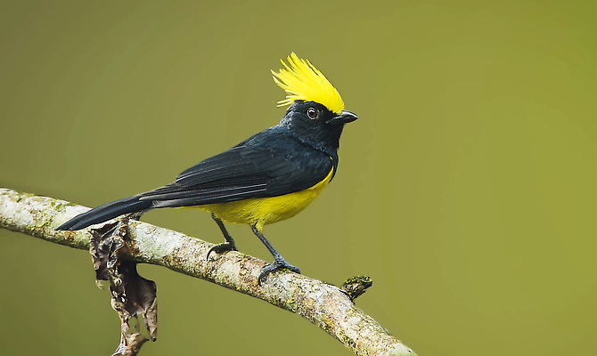 포토 JPG 해외이미지 동물 야생동물 여행 사람없음 여행객 해외202310 해외포토 사람 파일형식