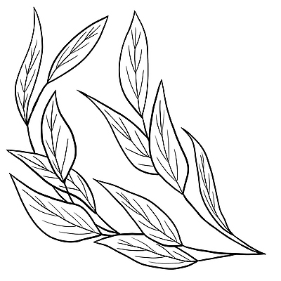 포토 JPG 해외이미지 식물 디자인 꽃 실루엣 선 결혼 백그라운드 잎 꽃무늬 일러스트 자연 추상 잉크 프레임 미술 사람없음 그래픽 장식 펜 정원 검은색 봄 수확 벚꽃 흰색 나뭇가지 개화 우아함 스케치 문신 그림 윤곽 손그림 판화 고립 엘리먼트 해외202310 해외일러스트 나무 계절 컬러 컨셉 무늬 농업 문화예술 촬영기법 이벤트 필기구 생태계 파일형식