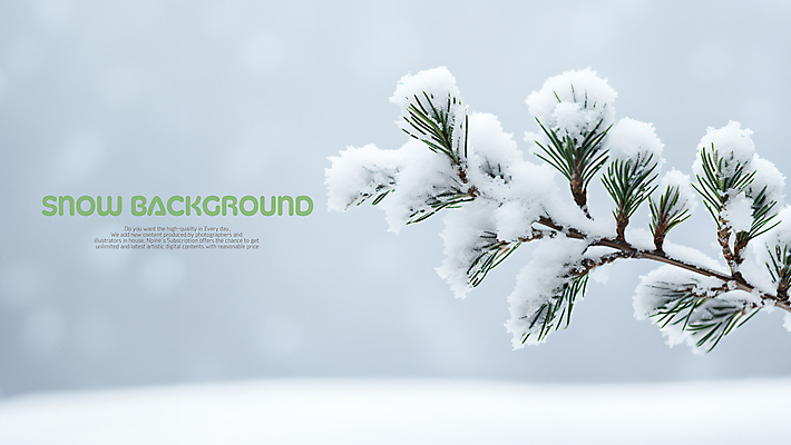 PSD 편집이미지 백그라운드 겨울 사람없음 흰색 나뭇가지 눈 솔잎 눈덮임 이미지편집 자연요소 나무 계절 컬러 컨셉 잎 날씨 파일형식