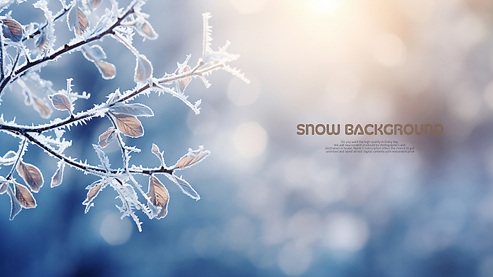 PSD 편집이미지 백그라운드 겨울 나뭇잎 사람없음 파란색 햇빛 나뭇가지 눈 서리 이미지편집 자연요소 나무 계절 컬러 잎 날씨 태양 파일형식