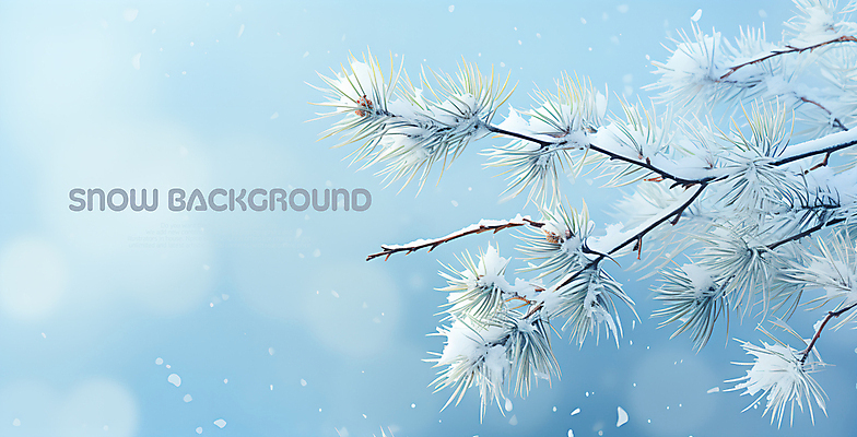 PSD 편집이미지 백그라운드 겨울 사람없음 파란색 나뭇가지 눈 소나무 눈덮임 이미지편집 자연요소 나무 계절 컬러 컨셉 날씨 파일형식