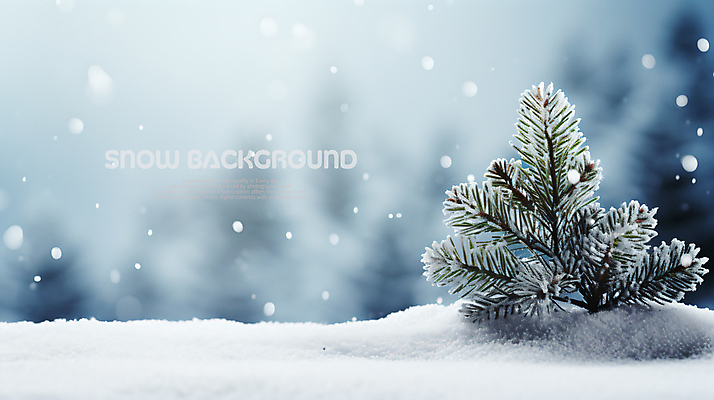 PSD 편집이미지 백그라운드 겨울 사람없음 흰색 눈 솔잎 눈내림 눈덮임 이미지편집 자연요소 계절 컬러 컨셉 잎 날씨 눈_날씨 파일형식