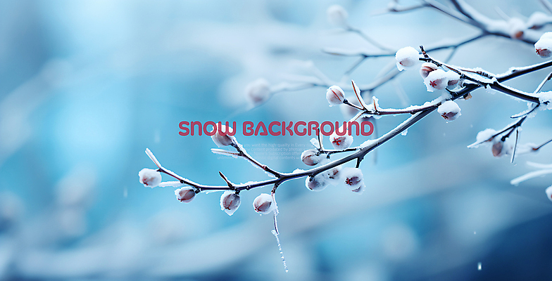 PSD 편집이미지 열매 백그라운드 겨울 사람없음 파란색 나뭇가지 눈 눈덮임 이미지편집 자연요소 나무 식물 계절 컬러 컨셉 날씨 파일형식