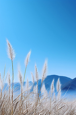 JPG 편집이미지 자연 산 갈대 사람없음 가을 숲 디지털합성 편집실사 AI포토 AI콘텐츠 식물 계절 CG 생태계 파일형식