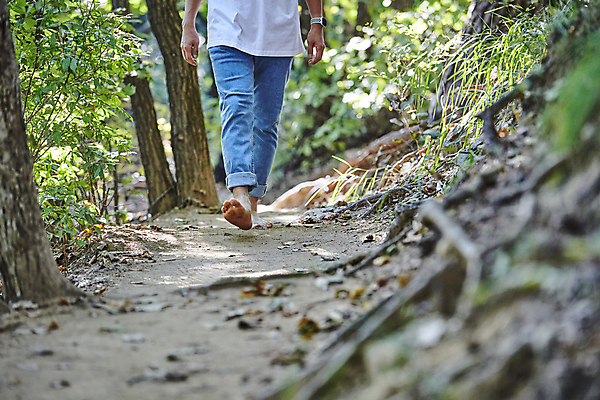 포토 JPG 주간 남자 맨발 자연 휴식 한명 성인 야외 앞모습 30대 햇빛 걷기 건강관리 산책로 한국인 하반신 산길 성인남자한명만 어싱 국내포토 자연요소 1 길 뷰포인트 컨셉 모션 발 건강 관리 사람 동양인 장년 태양 생태계 남자한명만 성인남자만 파일형식