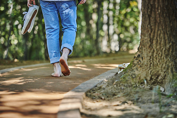 포토 JPG 주간 나무 남자 신발 맨발 자연 휴식 한명 들기 성인 야외 뒷모습 30대 햇빛 걷기 건강관리 산책로 한국인 하반신 성인남자한명만 황토길 어싱 국내포토 자연요소 식물 1 길 뷰포인트 컨셉 모션 발 건강 관리 사람 동양인 장년 태양 생태계 황토 남자한명만 성인남자만 파일형식
