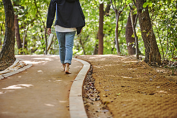 포토 JPG 주간 나무 남자 신발 맨발 자연 휴식 한명 들기 성인 야외 뒷모습 30대 햇빛 걷기 건강관리 산책로 한국인 하반신 산길 성인남자한명만 황토길 어싱 국내포토 자연요소 식물 1 길 뷰포인트 컨셉 모션 발 건강 관리 사람 동양인 장년 태양 생태계 황토 남자한명만 성인남자만 파일형식