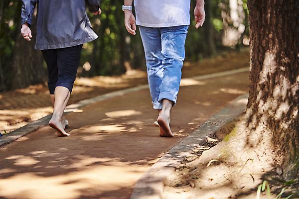 포토 JPG 주간 나무 남자 맨발 자연 휴식 성인 야외 두명 뒷모습 30대 햇빛 걷기 건강관리 산책로 한국인 하반신 산길 성인남자만 황토길 어싱 국내포토 자연요소 식물 길 뷰포인트 컨셉 모션 발 건강 관리 사람 동양인 장년 태양 생태계 황토 남자만 성인만 파일형식