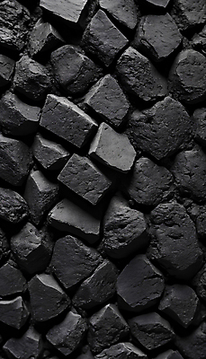 JPG 나무 편집이미지 백그라운드 사람없음 검은색 질감 숯 목탄 편집실사 AI포토 AI콘텐츠 식물 컬러 CG 파일형식