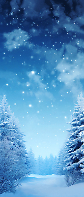 JPG 나무 길 백그라운드 겨울 일러스트 밤하늘 사람없음 파란색 설원 눈 전나무 겨울풍경 국내일러스트 AI일러스트 AI콘텐츠 자연요소 식물 계절 컬러 하늘 날씨 눈_날씨 풍경 야간 파일형식