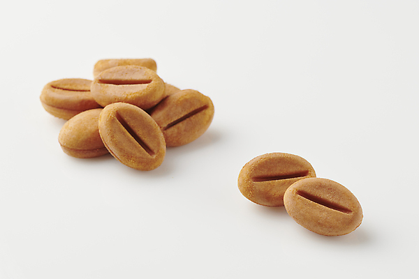 포토 JPG 스튜디오촬영 겨울 따뜻함 사람없음 겨울간식 길거리음식 커피콩빵 국내포토 계절 음식 빵 디저트 실내 특산물 강릉 파일형식