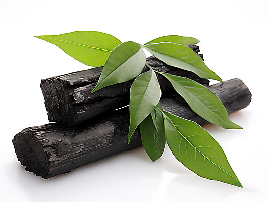 JPG 편집이미지 나뭇잎 사람없음 목재 검은색 오브젝트 숯 편집실사 AI포토 AI콘텐츠 나무 컬러 잎 재료 CG 파일형식