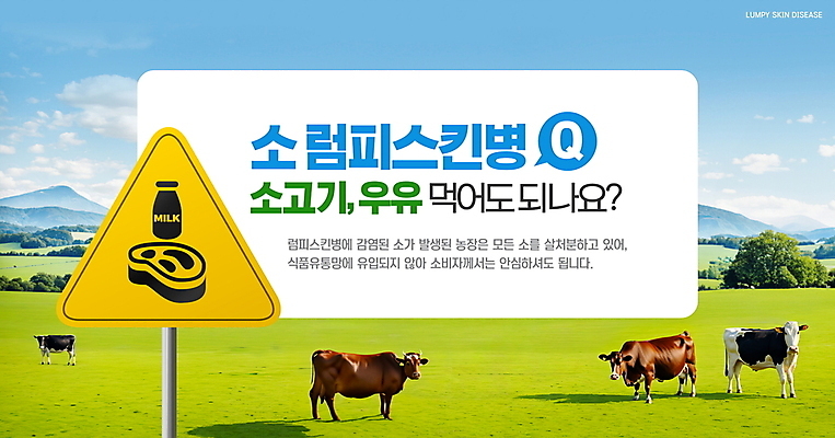 PSD 구름 편집이미지 하늘 안전 잔디 사람없음 농장 가축 소고기 우유 표지판 소 바이러스 질문 사회이슈 젖소 가축전염병 럼피스킨병 이미지편집 자연요소 식물 동물 컨셉 농업 포유류 유제품 알림판 육류 전염병 파일형식