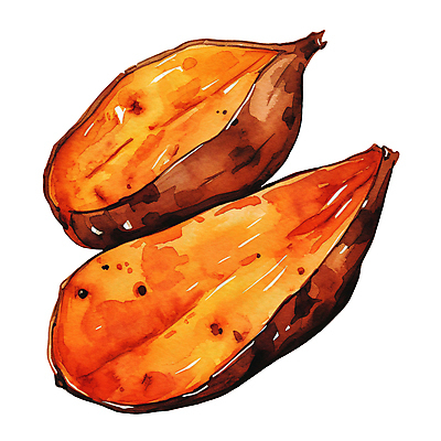 PSD 음식 일러스트 사람없음 갈색 고구마 겨울간식 군고구마 구황작물 국내일러스트 컬러 디저트 뿌리채소 농작물 구이 파일형식