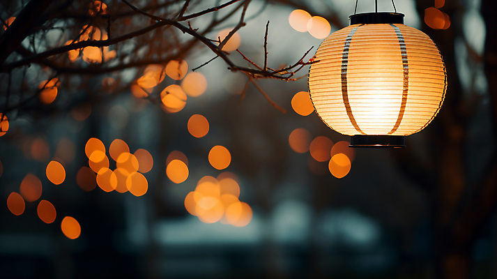 JPG 편집이미지 조명 사람없음 야외 나뭇가지 등불 저녁 디지털합성 보케 편집실사 AI포토 AI콘텐츠 나무 야간 CG 파일형식