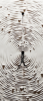 JPG 편집이미지 백그라운드 지도 사람없음 흰색 디지털합성 오브젝트 지형 미로 편집소스 이미지편집 편집실사 AI컴퓨터그래픽 AI콘텐츠 컬러 CG 파일형식