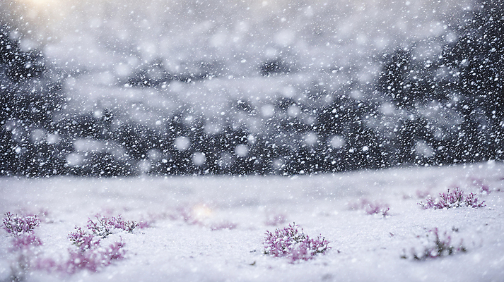 JPG 편집이미지 겨울 하늘 풍경 사람없음 설원 추위 눈 눈내림 편집실사 AI포토 AI콘텐츠 자연요소 계절 날씨 눈_날씨 CG 파일형식