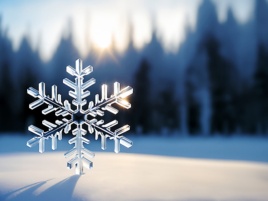 JPG 편집이미지 문양 겨울 눈꽃 사람없음 파란색 눈 눈송이 차가움 디지털합성 블러효과 편집소스 편집실사 AI컴퓨터그래픽 AI콘텐츠 자연요소 계절 컬러 날씨 눈_날씨 CG 블러 파일형식 효과