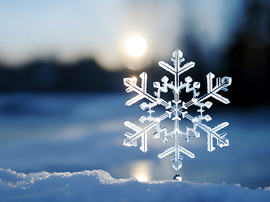 JPG 편집이미지 문양 겨울 눈꽃 사람없음 파란색 햇빛 물방울 눈 눈송이 차가움 디지털합성 블러효과 편집소스 편집실사 AI컴퓨터그래픽 AI콘텐츠 자연요소 계절 컬러 날씨 눈_날씨 태양 CG 블러 파일형식 효과