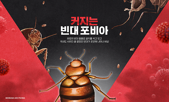 PSD 편집이미지 사람없음 빨간색 검은색 긴급 바이러스 해충 벌레 사회이슈 빈대 이미지편집 컬러 곤충 컨셉 파일형식