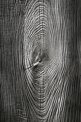 JPG 편집이미지 백그라운드 흑백 사람없음 목재 나뭇결 질감 나무배경 편집실사 AI포토 AI콘텐츠 나무 재료 촬영기법 CG 파일형식