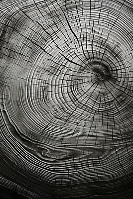 JPG 편집이미지 백그라운드 흑백 사람없음 목재 나뭇결 질감 나무배경 편집실사 AI포토 AI콘텐츠 나무 재료 촬영기법 CG 파일형식