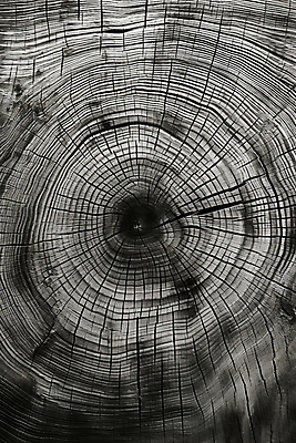 JPG 편집이미지 백그라운드 흑백 사람없음 목재 나뭇결 질감 나무배경 편집실사 AI포토 AI콘텐츠 나무 재료 촬영기법 CG 파일형식