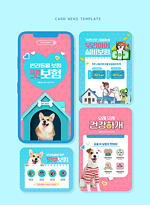 전신 PSD 여자 ZIP 반려견 어린이 분홍색 웹템플릿 하늘색 지폐 여러마리 주택 한명 소녀 하트 무릎꿇기 개집 소녀한명만 카드뉴스 동물보험 실비보험 이미지템플릿 모양 템플릿 1 컬러 다수 돈 모션 사람 건물 파란색 반려동물 개 애견용품 보험 여자한명만 소녀만 파일형식