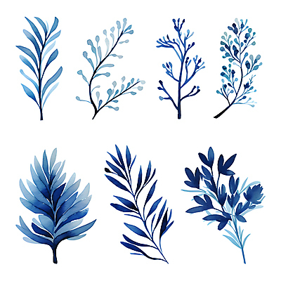 PSD 열매 잎 겨울 일러스트 나뭇잎 수채화 사람없음 파란색 세트 풀 풀잎 엘리먼트 보테니컬아트 국내일러스트 식물 계절 컬러 풀_식물 파일형식