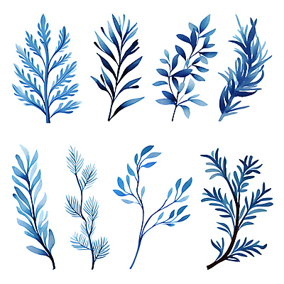 PSD 열매 잎 겨울 일러스트 나뭇잎 수채화 사람없음 파란색 세트 풀 풀잎 엘리먼트 보테니컬아트 국내일러스트 식물 계절 컬러 풀_식물 파일형식