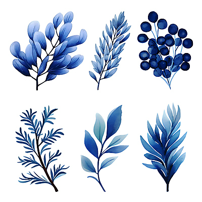 PSD 열매 잎 겨울 일러스트 나뭇잎 수채화 사람없음 파란색 세트 풀 풀잎 엘리먼트 보테니컬아트 국내일러스트 식물 계절 컬러 풀_식물 파일형식