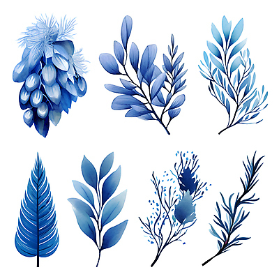 PSD 열매 잎 겨울 일러스트 나뭇잎 수채화 사람없음 파란색 세트 풀 풀잎 엘리먼트 보테니컬아트 국내일러스트 식물 계절 컬러 풀_식물 파일형식