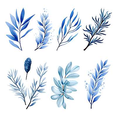 PSD 열매 잎 겨울 일러스트 나뭇잎 수채화 사람없음 파란색 세트 풀 풀잎 엘리먼트 보테니컬아트 국내일러스트 식물 계절 컬러 풀_식물 파일형식