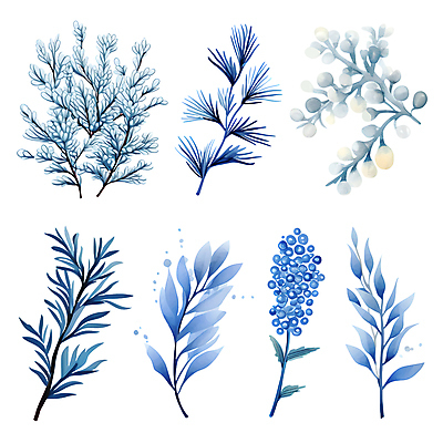PSD 열매 잎 겨울 일러스트 나뭇잎 수채화 사람없음 파란색 세트 풀 풀잎 엘리먼트 보테니컬아트 국내일러스트 식물 계절 컬러 풀_식물 파일형식
