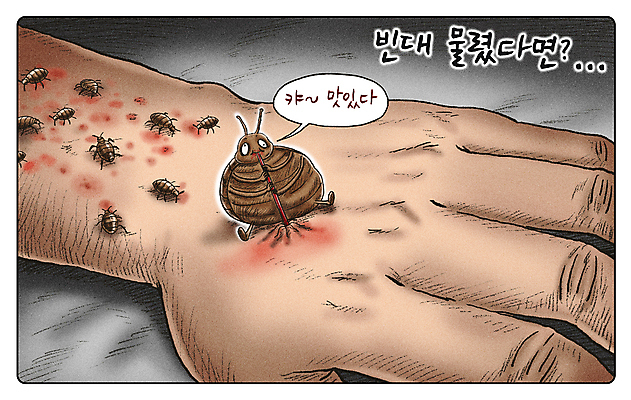 PSD 손 말풍선 일러스트 빨대 신체부위 마시기 혈액 해충 위험 사회이슈 코믹 가려움 피부질환 베이지색 증상 빈대 물림 국내일러스트 컬러 곤충 컨셉 모션 사람 벌레 질병 파일형식