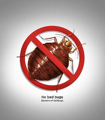 PSD 일러스트 안전 사람없음 갈색 금지 살충 해충 벌레 사회이슈 공포 방역 퇴치 빈대 국내일러스트 컬러 곤충 컨셉 파일형식