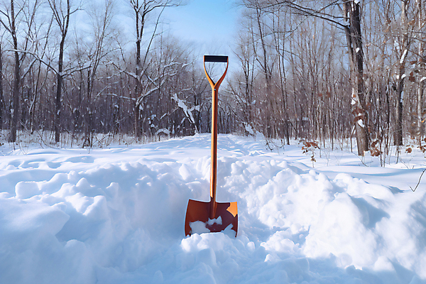 JPG 나무 편집이미지 길 겨울 사람없음 설원 눈 삽 디지털합성 쌓인눈 제설 폭설 눈덮임 편집실사 AI포토 AI콘텐츠 자연요소 식물 계절 컨셉 날씨 눈_날씨 자연재해 CG 파일형식