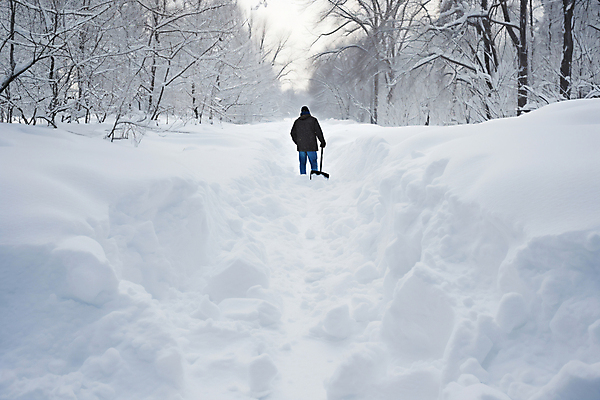 JPG 전신 나무 편집이미지 남자 길 겨울 한명 들기 성인 뒷모습 눈 삽 디지털합성 쌓인눈 제설 폭설 성인남자한명만 눈덮임 편집실사 AI인물포토 AI콘텐츠 자연요소 식물 1 계절 뷰포인트 컨셉 모션 날씨 눈_날씨 사람 자연재해 CG 남자한명만 성인남자만 파일형식 AI포토