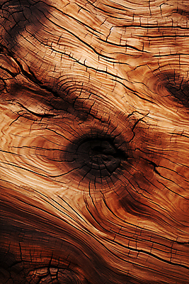 JPG 나무 편집이미지 백그라운드 사람없음 나뭇결 갈색 질감 편집실사 AI포토 AI콘텐츠 식물 컬러 CG 파일형식