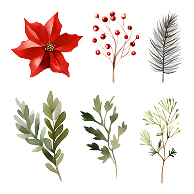 PSD 열매 스티커 크리스마스 겨울 일러스트 나뭇잎 수채화 사람없음 세트 풀잎 오브젝트 포인세티아 엘리먼트 국내일러스트 식물 계절 기념일 꽃 잎 풀_식물 파일형식