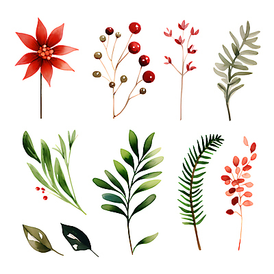 PSD 열매 꽃 스티커 크리스마스 겨울 일러스트 나뭇잎 수채화 사람없음 세트 풀잎 오브젝트 엘리먼트 국내일러스트 식물 계절 기념일 잎 풀_식물 파일형식