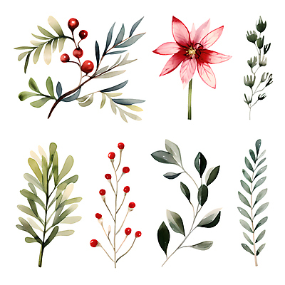 PSD 열매 꽃 스티커 크리스마스 겨울 일러스트 나뭇잎 수채화 사람없음 세트 풀잎 오브젝트 엘리먼트 국내일러스트 식물 계절 기념일 잎 풀_식물 파일형식