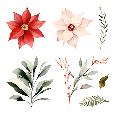 PSD 열매 스티커 크리스마스 겨울 일러스트 나뭇잎 수채화 사람없음 세트 풀잎 오브젝트 포인세티아 엘리먼트 국내일러스트 식물 계절 기념일 꽃 잎 풀_식물 파일형식