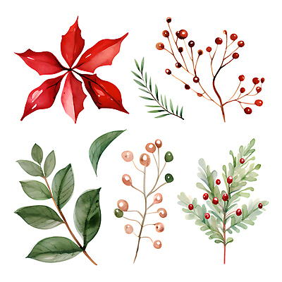 PSD 열매 꽃 스티커 크리스마스 겨울 일러스트 나뭇잎 수채화 사람없음 세트 풀잎 오브젝트 엘리먼트 국내일러스트 식물 계절 기념일 잎 풀_식물 파일형식