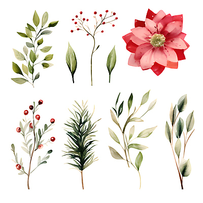 PSD 열매 꽃 스티커 크리스마스 겨울 일러스트 나뭇잎 수채화 사람없음 세트 풀잎 오브젝트 엘리먼트 국내일러스트 식물 계절 기념일 잎 풀_식물 파일형식