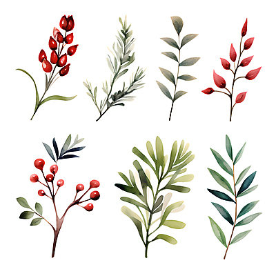 PSD 열매 꽃 스티커 크리스마스 겨울 일러스트 나뭇잎 수채화 사람없음 세트 풀잎 오브젝트 엘리먼트 국내일러스트 식물 계절 기념일 잎 풀_식물 파일형식