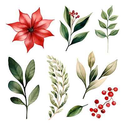 PSD 열매 스티커 크리스마스 겨울 일러스트 나뭇잎 수채화 사람없음 세트 풀잎 오브젝트 포인세티아 엘리먼트 국내일러스트 식물 계절 기념일 꽃 잎 풀_식물 파일형식